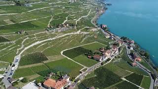 Lavaux - Swiss - Suíça - drone dji - summer 2023