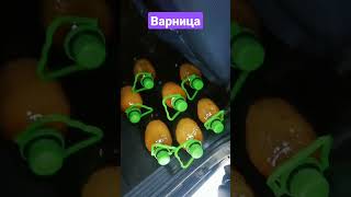 ПЯТНИЦА - ВАРНИЦА