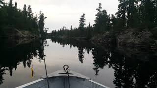 Ultra still water shows perfect reflection #shorts #trends #lake