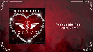 Tu Mono De Alambre | Duo Corvo (Audio Oficial)