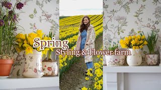 I didn't know this flower farm existed!  🌼 Spring cottage vlog