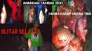 ANJUNGAN TAMBAK REJO,MUSIM KAKAP MERAH TELAH TIBA