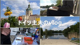 [vlog]実はドイツのベルリンには自然が沢山！主夫が宮殿の裏庭でお弁当とお勉強。