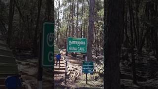 ഈകുഴിയിൽ ആണോ സുഭാഷ് വീണത് guna cave #sreenath_bhasi