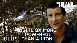 Losing Weight Profusely | The Island with Bear Grylls