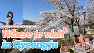 (EN)Best Places to go in Gyeongju Korea - Trip vlog (cherry blossoms, hwangridan, bird park, anapji)