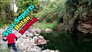 Mancing di kedung macan,spot sperti di tengah hutan amazon😁#21