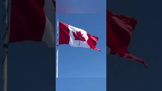 Story of Hans island | Canada vs Denmark | Whiskey War | #canada #denmark #usa #america #war #shorts