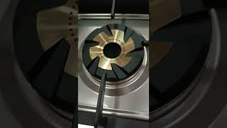 Surya accent heavy duty gas stove