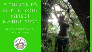 Naturebreaks w Misha: 3 Things to Seek in your Perfect Observation Spot