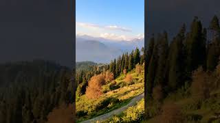 Siri Paye Meadows view #youtubeshorts #shortvideo #shorts