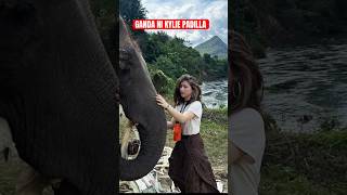 KYLIE PADILLA NAPAKAHILIG TALAGA SA MGA ELEPANTE🐘♥️ #kyliepadilla #actress #elephant #trending