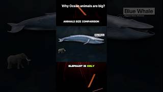 why Ocean animals are bigger than land animals #shorts