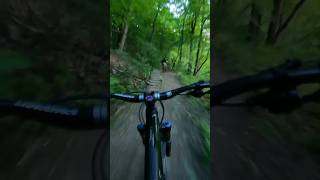 Triple jumps #mountainbike #jump #jumpline #mountain #mtbbikes #shortvideo