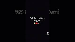 ඔබ මගේ හදවතේ පැළදුවා🎸🎧Oba Mage Hadawathe Palanduwa cover (Sandun Perera)#obamagehadawathepalanduwa