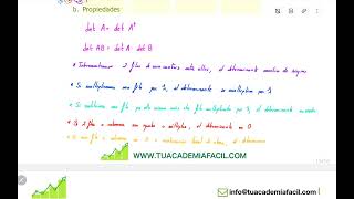 V6_1.5 Determinantes - FUNDAMENTOS MATEMÁTICOS - INGENIERÍA INFORMÁTICA UNED