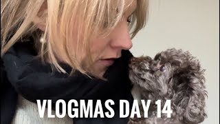 Vlogmas 2023 ~ Day 14 ~ Travelling to The Alps 🏔️ ⛷️ Saying Bye to the pets.