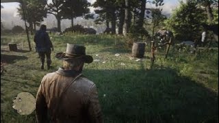 Red Dead Redemption 2 Bill Is Glitching