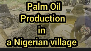 A TRADITIONAL METHOD OF PALM OIL PRODUCTION IN NIGERIAN VILLAGE near IBADAN