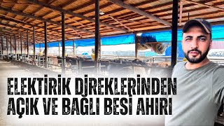 ELEKTİRİK DİREKLERİNDEN AHIRIN UZUN SÜRELİ KULLANIM AVANTAJLARI VE DEZAVANTAJLARI