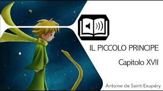 Il Piccolo Principe Capitolo XVII