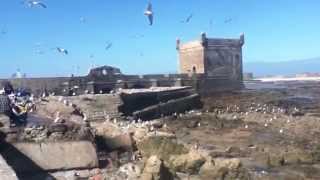 Essaouira HD