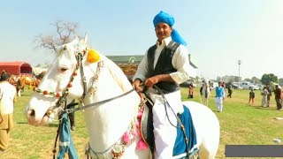 Documentary on Neza Bazi | Sport Complex Islamabad Neza Bazi 2018 | Desi Horses | Tent Pegging