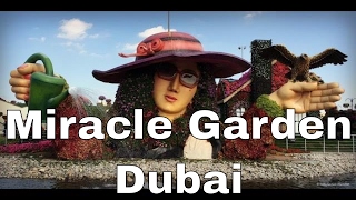 Miracle Garden Dubai