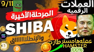 بيتكوين (Bitcoin) |حيتان تتحرك! عمله الشيبا فرصه كبيره|هامستر تنفجر | -تحليل السوق! 2024|#btc