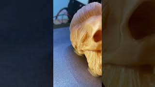 Skull timelapse