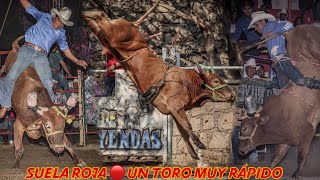 ESPECIAL DEL SUELA ROJA| DE LOS TOROS QUE NACEN EN LA CUNA DEL REPARO 🔥