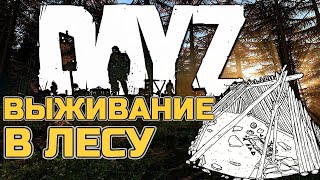 БОЛЬ ОДИНОЧНОГО ВЫЖИВАНИЯ В DAYZ | ШАЛАШ В ЛЕСУ