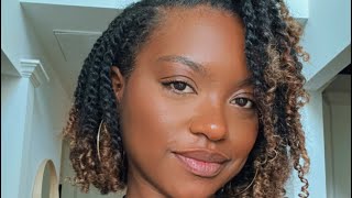 Mini Twists on Wet Natural Hair!