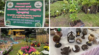 Plants shopping 😍Herbal plants- 10₹ Fruit plants- 10₹30₹ & 45₹ Cheapest plants shopping (Lalbagh)