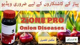 ZiONE PRO Is a pro fungicide and bactericide for onion and garlic crop | diseases | fertiscience |