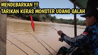 luar biasa sensasi tarikan babon-babon udang galah sungai Kalimantan || mancing udang galah