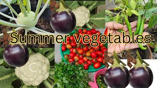 मार्च अप्रेल मैं लगाई जाने वाली सब्जियां। vegetables that can be grown in summer #summervegetables