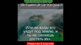 Коран Сура Аль-Кахф |18:41 | Чтение Корана с русским переводом | Quran Translation #quranrecitation