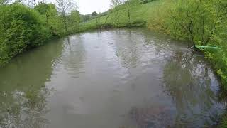 Pond stocking video: Trout are hungry