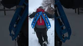 Snow Hiking ❤️🐾| Adventure Lover