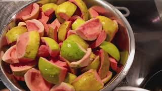 Making Guava Paste, Guava Cheese, With My Own Guavas!