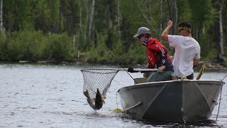 Canadian Fishing Trip for Northern Pike and Walleye