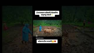 हे वातावरण कोकणी शेतकरीच अनुभवू शकतो #konkan #लावणी#भातलावणी#नांगरणी