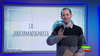 Il Pianeta Vivo - puntata 7 - La Zoofarmacognosia (conduce Samuele Venturini)