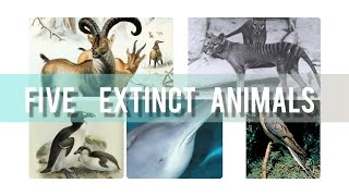 #shorts|| five extinct animals|| wild life facts