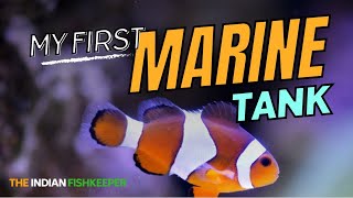 First-time Marine Saltwater Aquarium Fish Tank | Nemo Clownfish, Hermit Crab & More