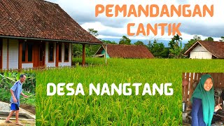 Kampung Asri di Pedesaan Jawa Barat | 4K