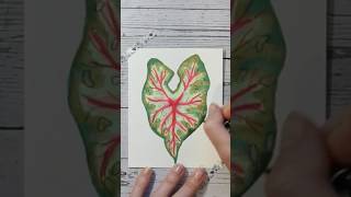 I love drawing in marker and wanted to show you how you can use them to create colourful drawings