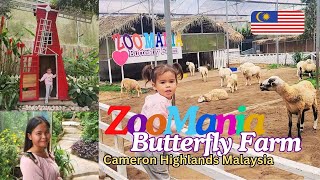 We went to Malaysia's Butterfly Farm,  ZooMania Cameron Highlands Malaysia