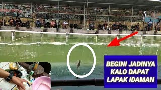 Mancing Ikan Mas Galapung /Umpan Pisang Ambon dapat lapak idaman  VLOG #016